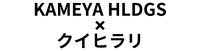 KAMEYA HLDGS